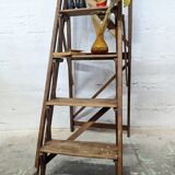 Old stepladder restored