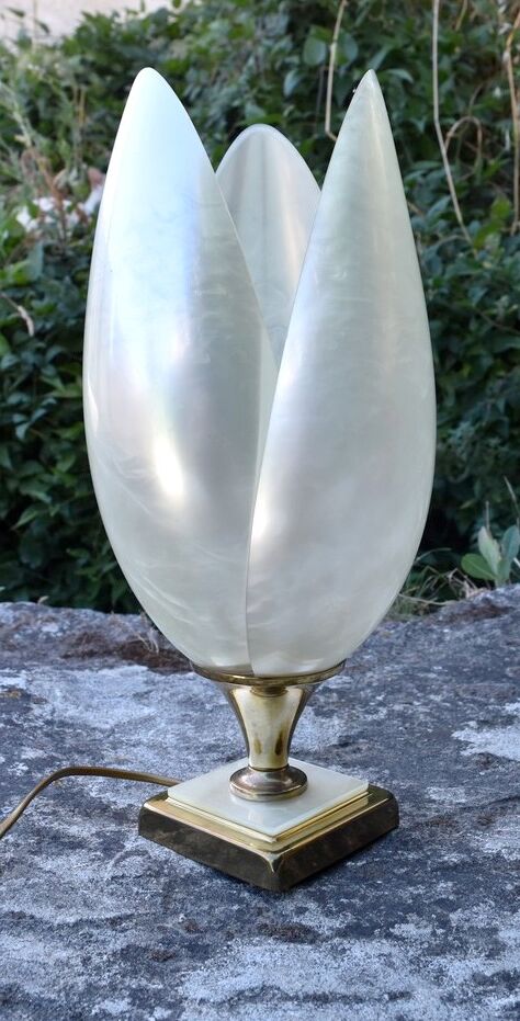 Lamp to lay House Rougier model tulip