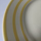 Plates canary yellow lines