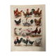 Lithograph on hens from 1921 XXXV
