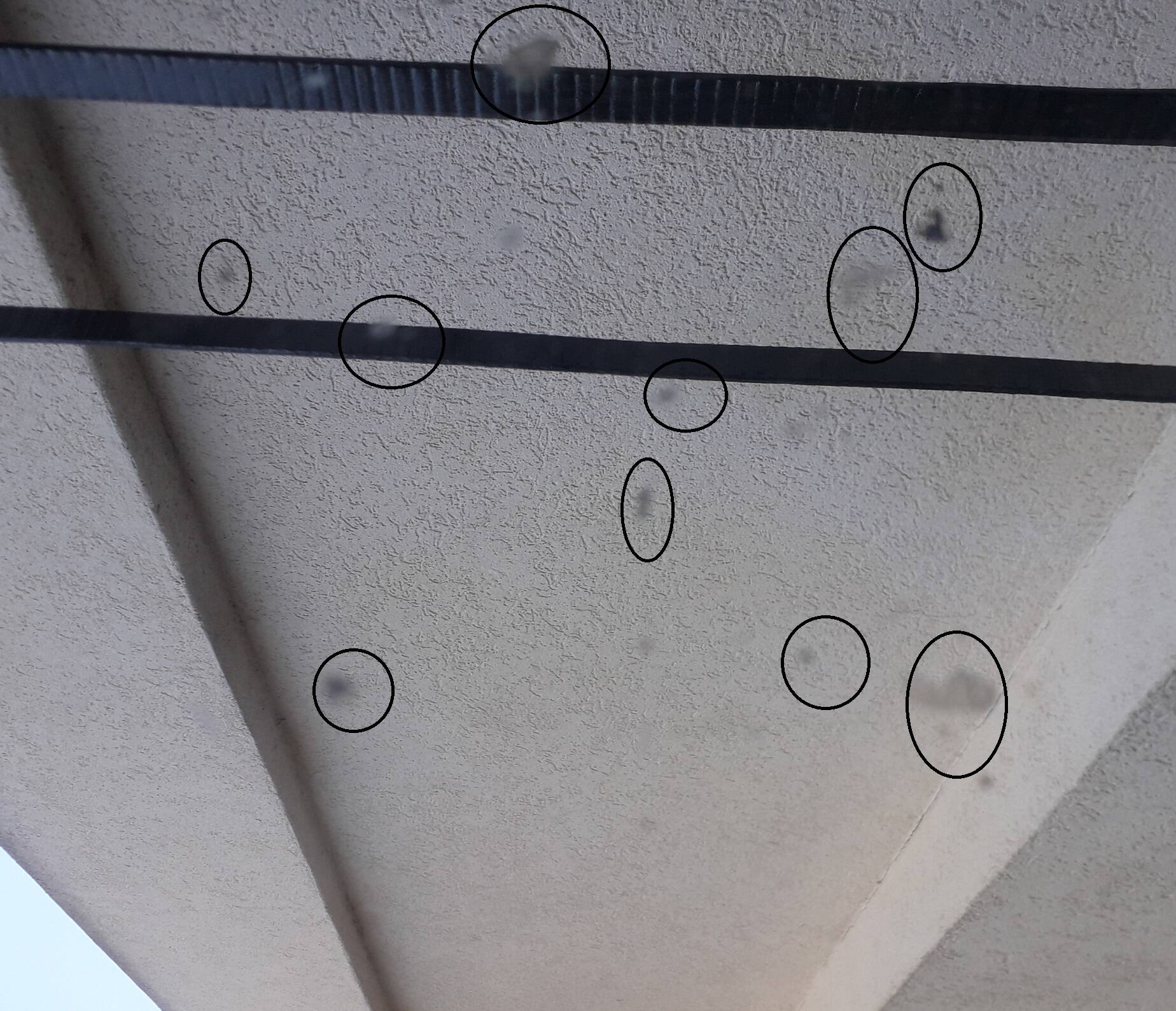 Wrought iron coat rack