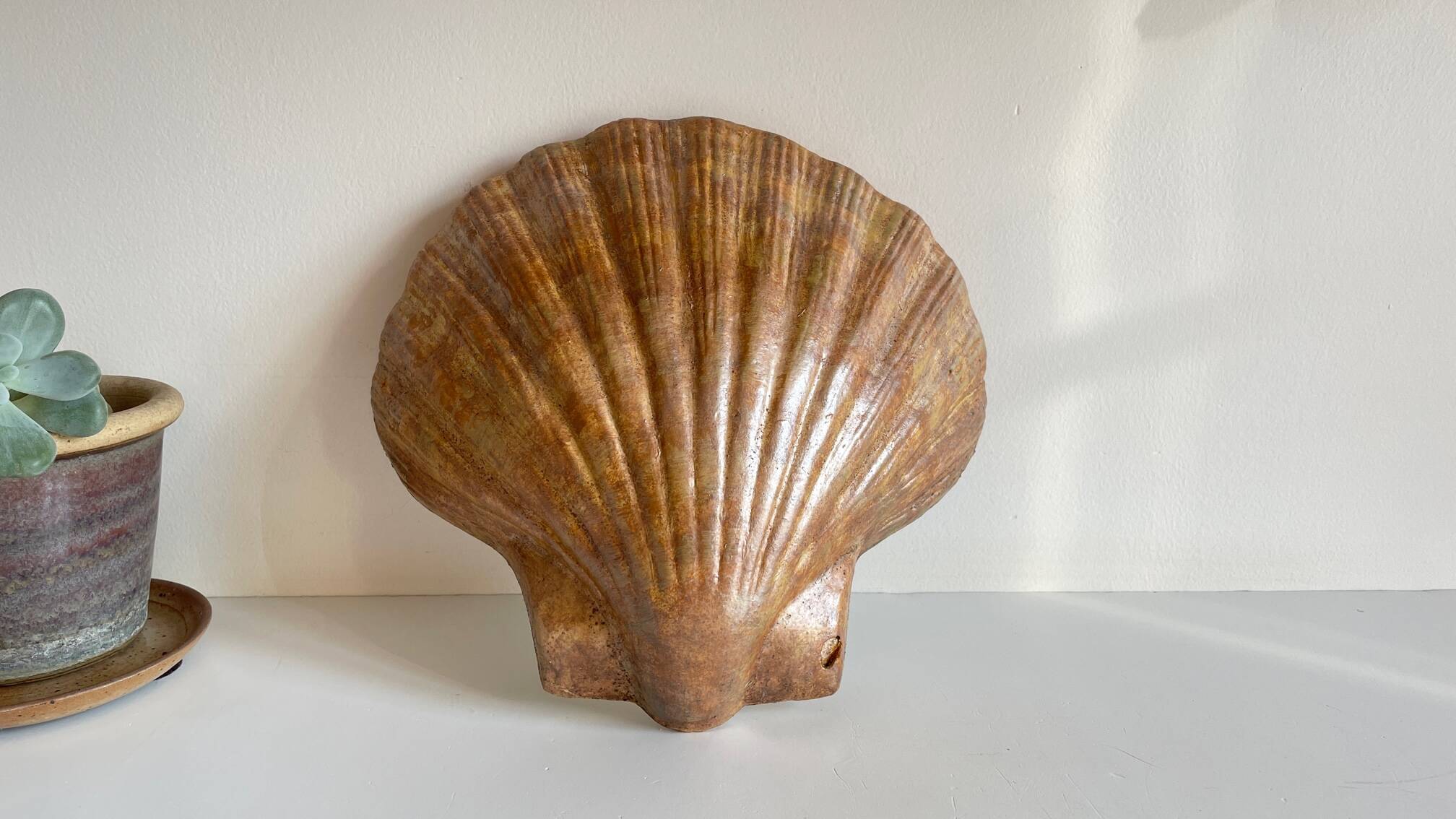 Shell wall enameled by aljezur