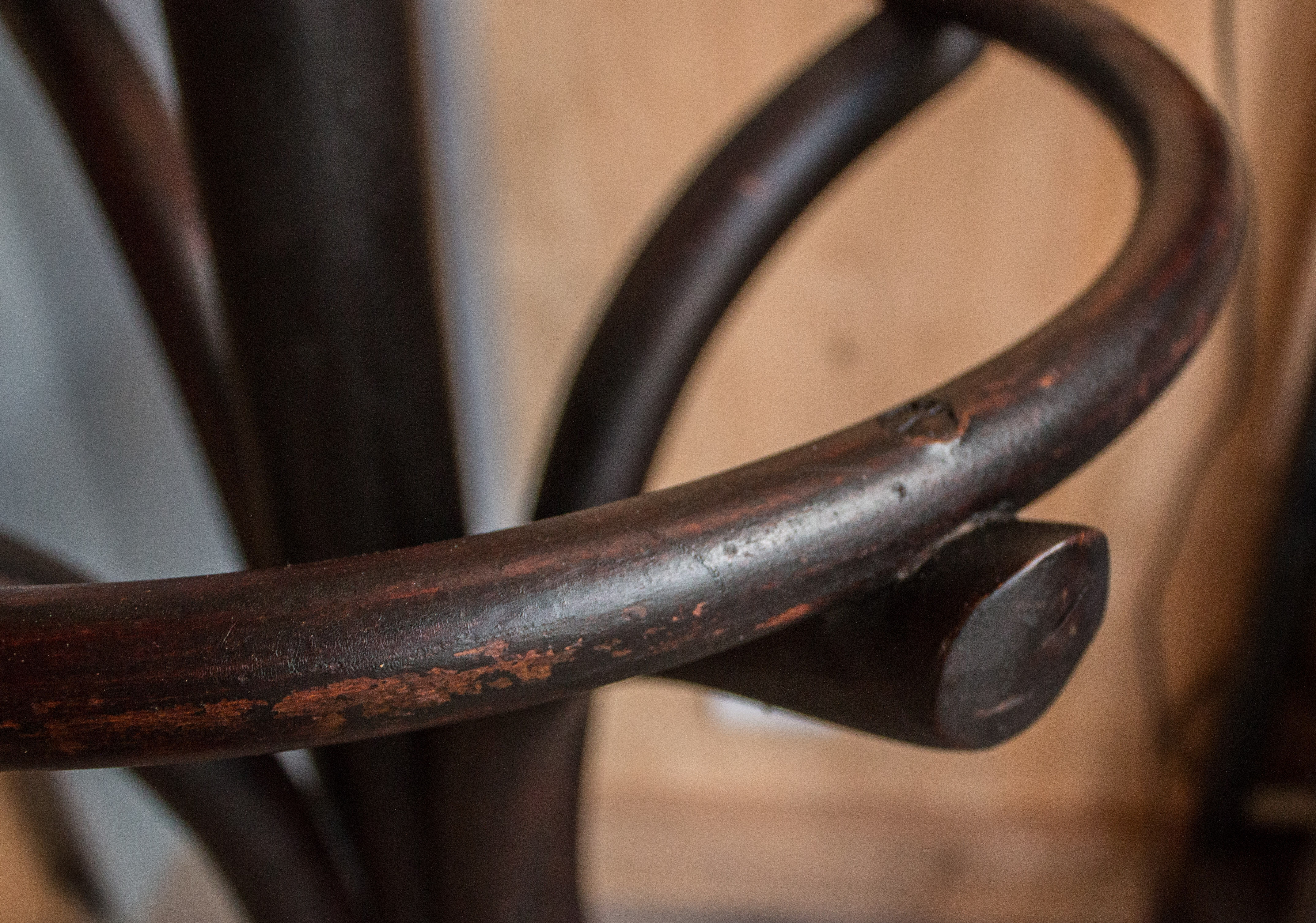 Parrot Thonet bentwood coatrack