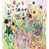 Suzie's garden