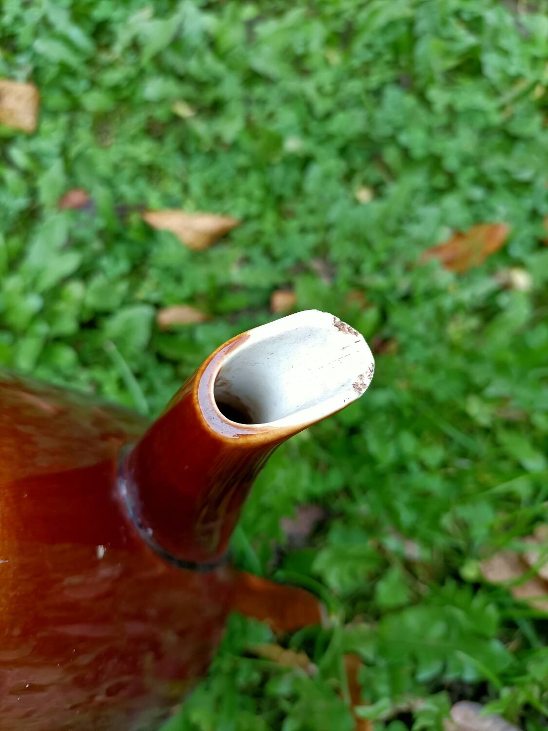 Coffee/Teapot ~ Villeroy and Boch