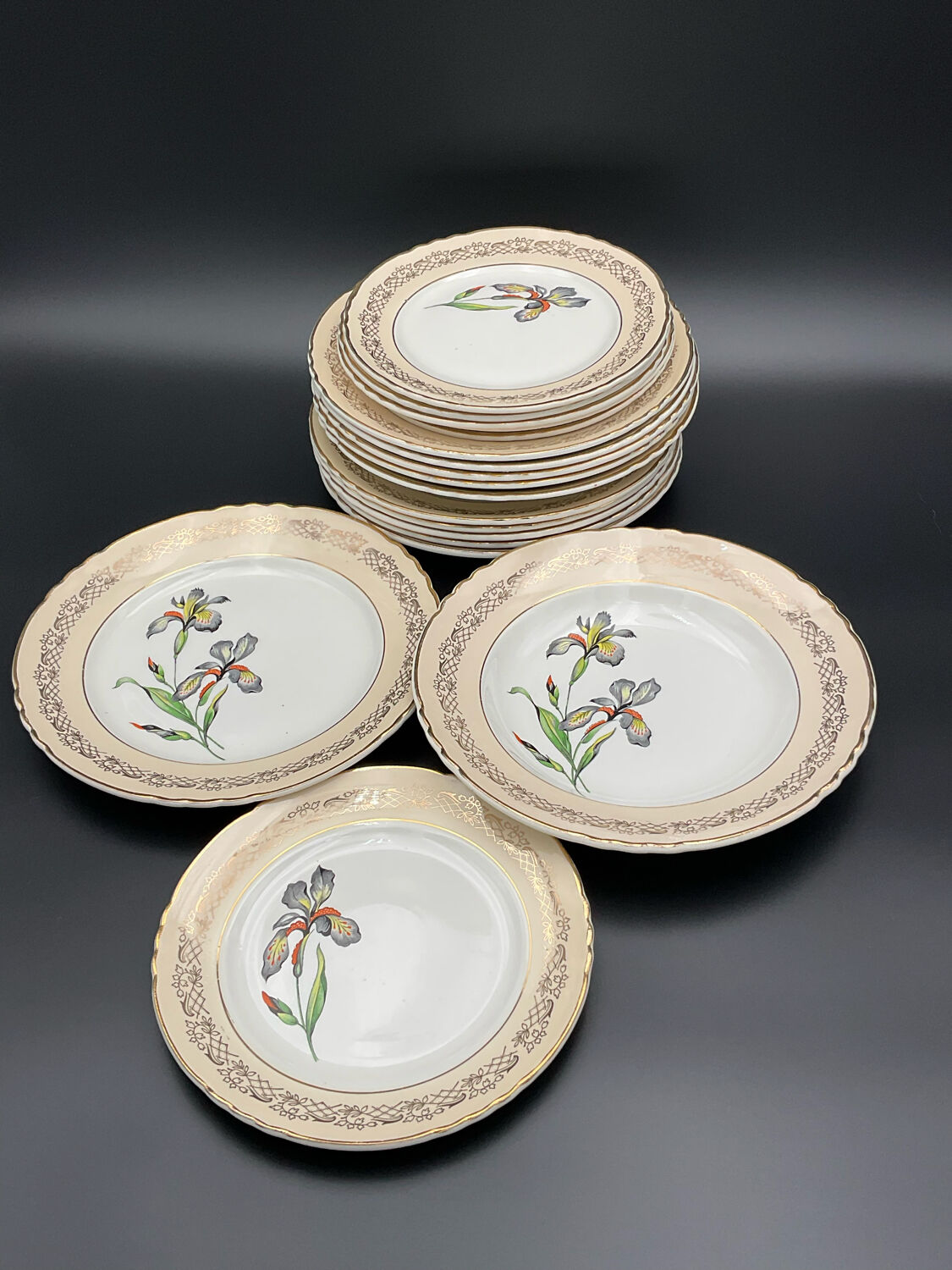 Porcelain plates signed moulin des loups 18 pieces