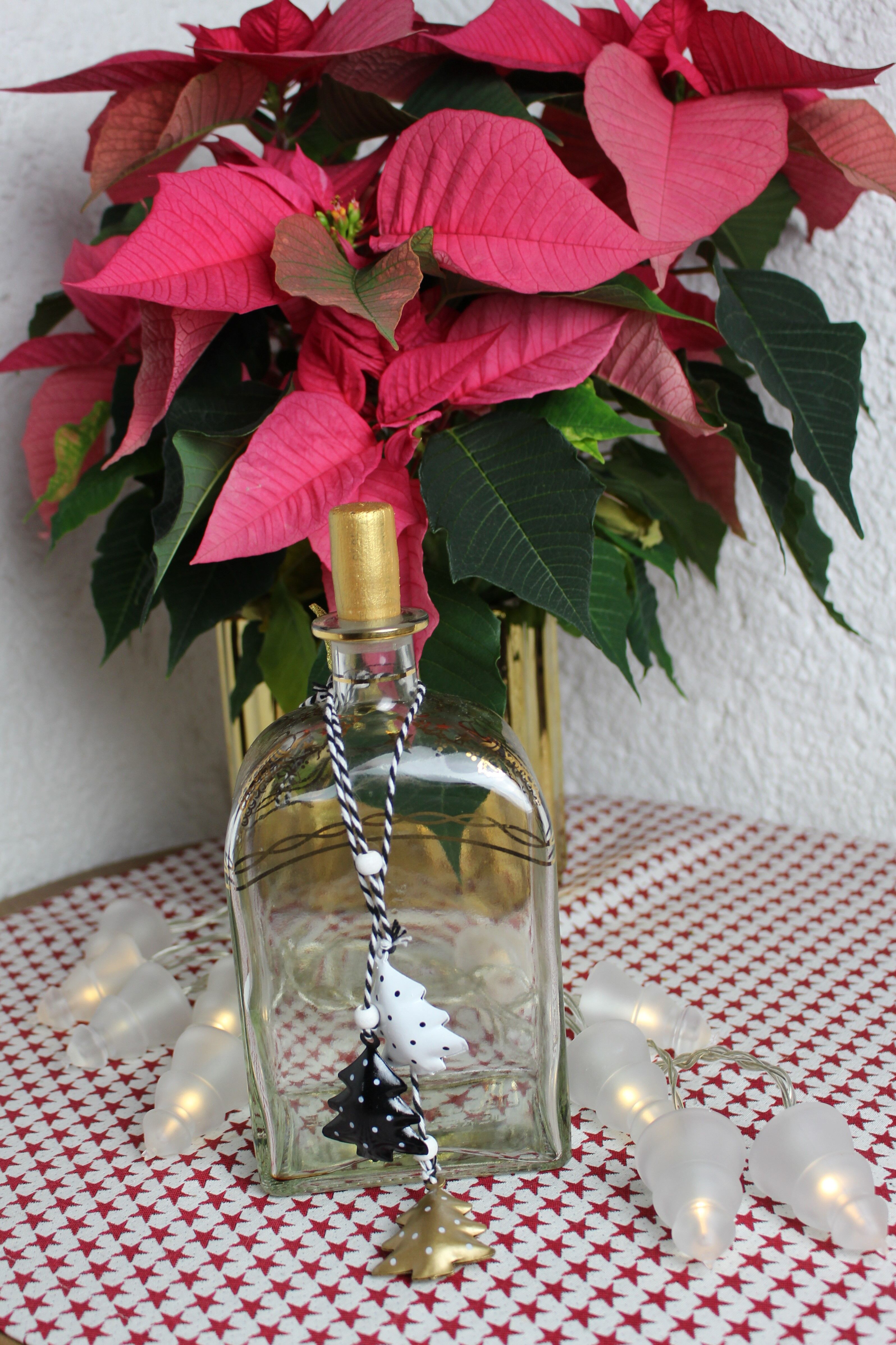 Decorated rectangular glass carafe