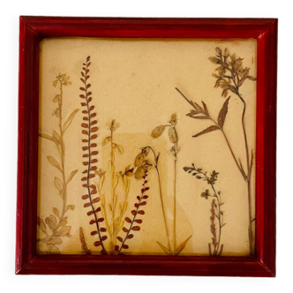 Vintage burgundy dried flowers frame