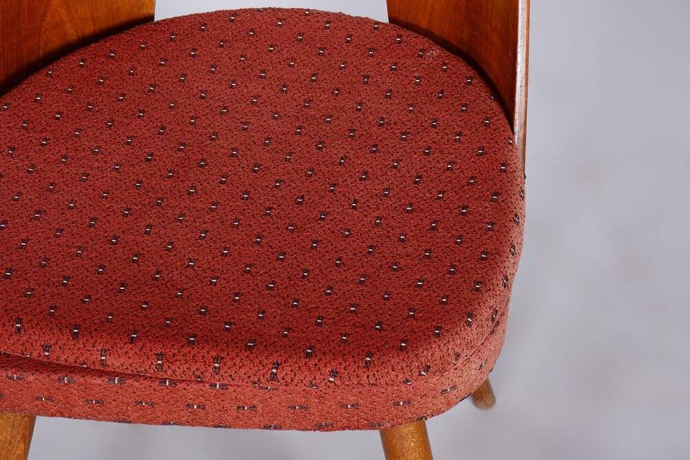Set of Mid-Century Czech Chairs by Antonin Suman, 1950s