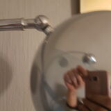 True thrush Gioffredo Reggiani lamppost