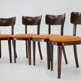 1950s Set of Four Restored Dining Chairs, Czechoslovakia