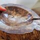 Pocket Video Pierre Fossilised Tree Fossil Section 1.66 Kg