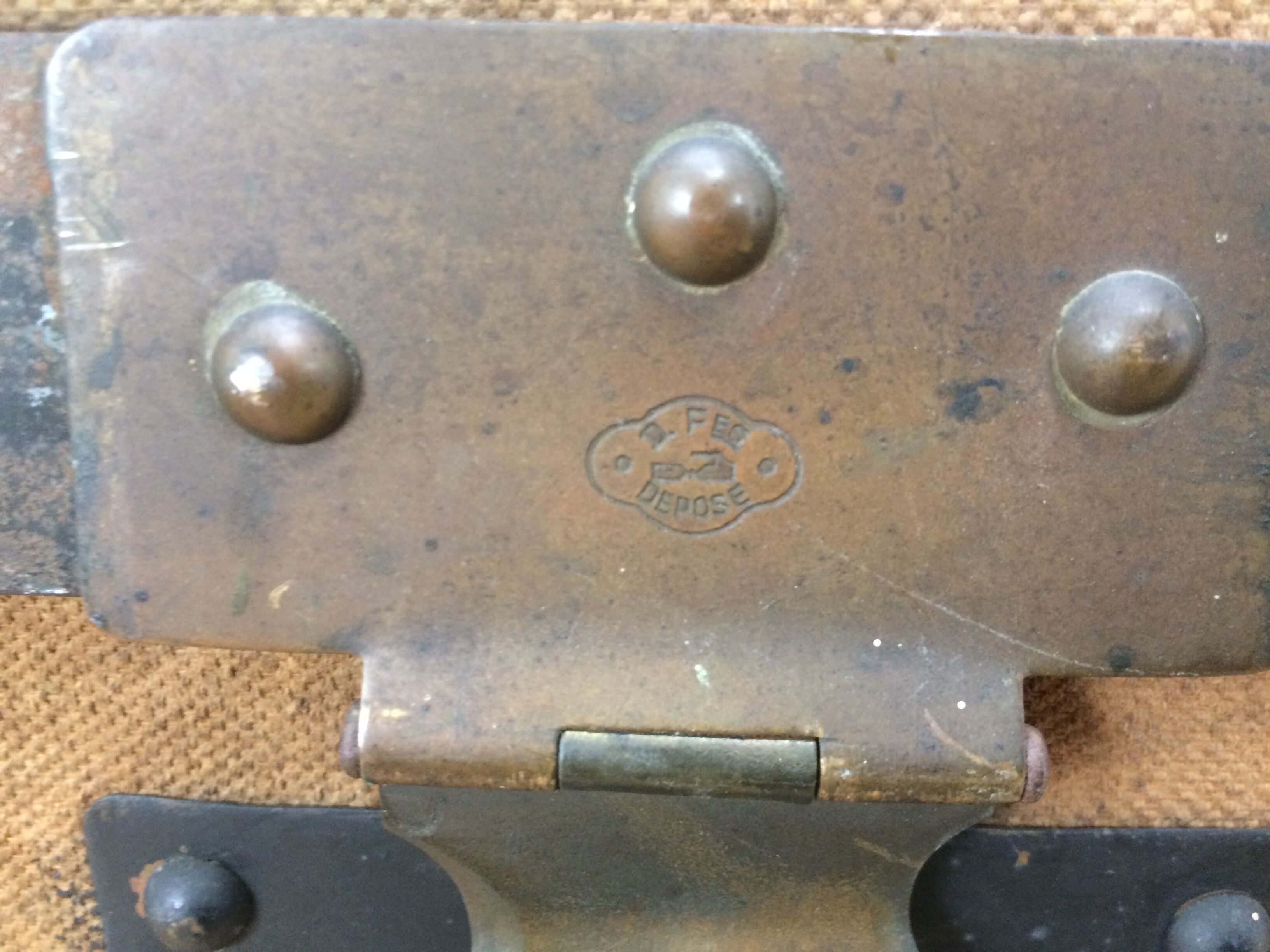 Bulging trunk at the tourist