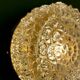 Vintage moulded glass wall or ceiling light globe