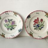 Longwy "head to head" plates