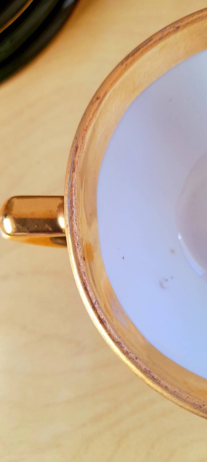 Lot de 6 tasses bistrot apilco vert et or 50s