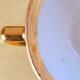 Lot de 6 tasses bistrot apilco vert et or 50s