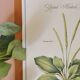 Botanical board