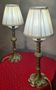Pair of chiselled bronze lamps, bedside, bedroom, new lampshade 43x15, electrical in working order.
