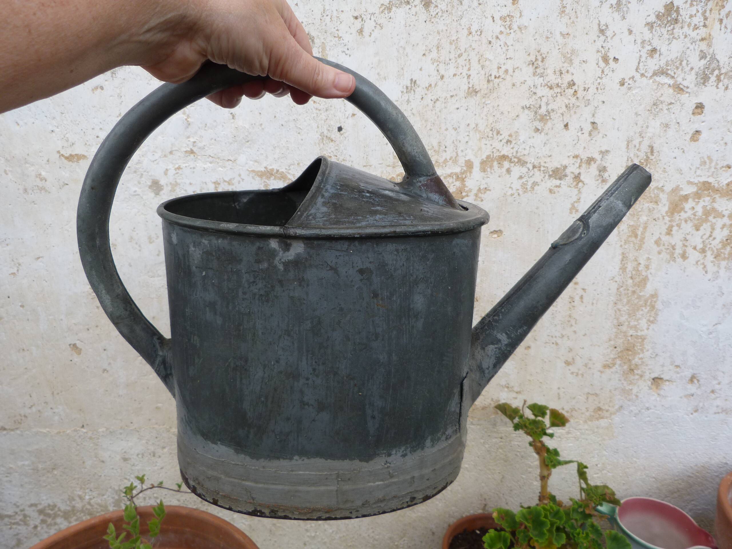 Old small zinc watering can