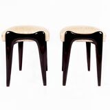 Italian-born footrest pair