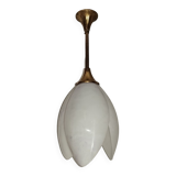 Rougier house chandelier 70s 80s