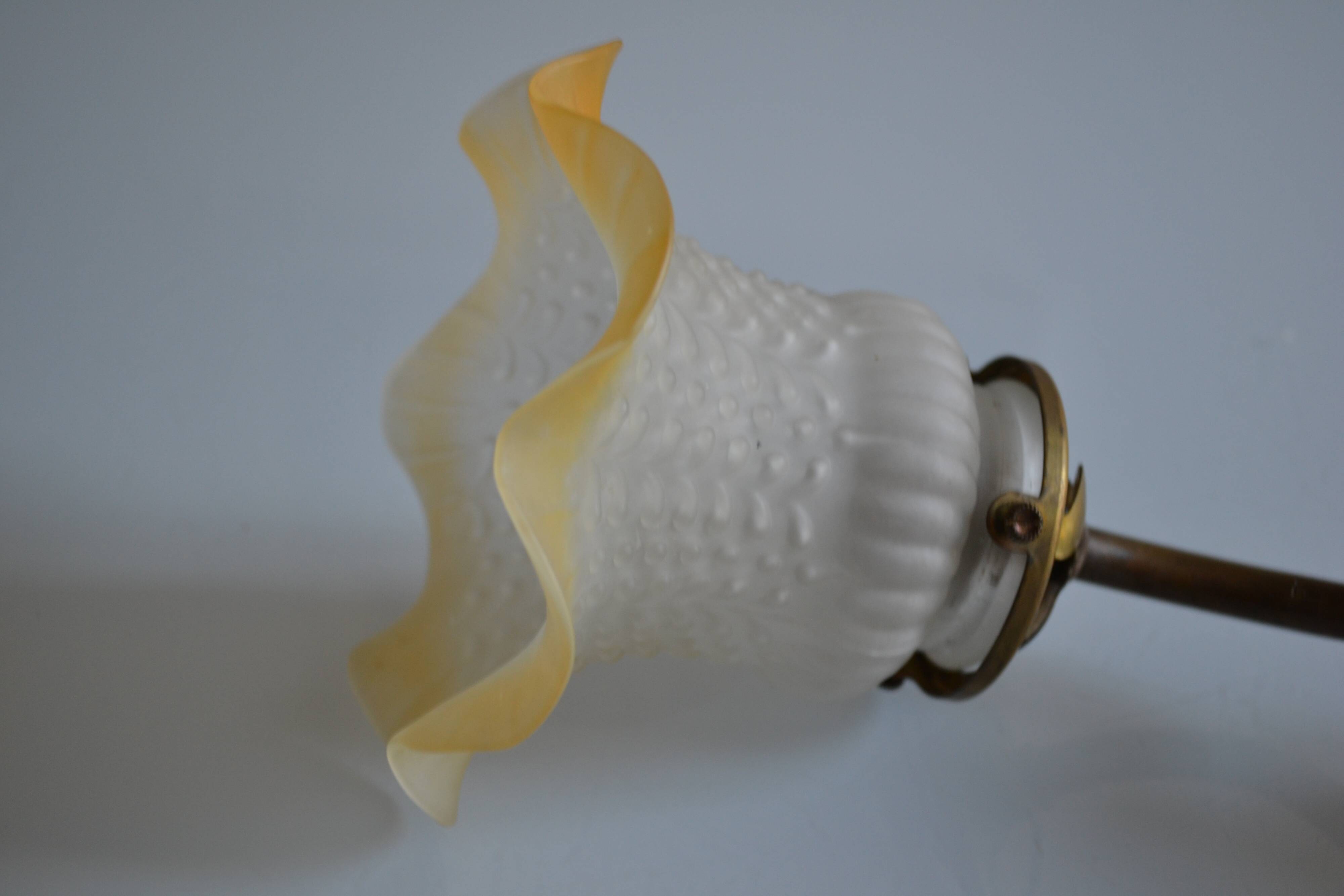 Swan neck wall lamp and its tulip, early 20th century.
