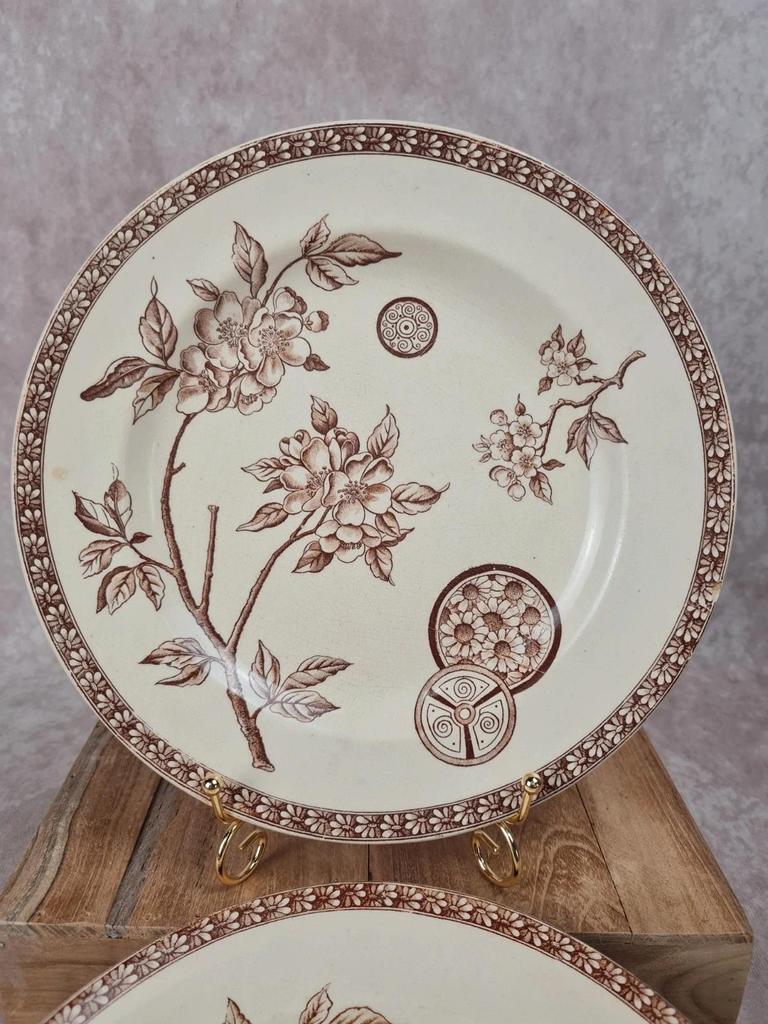 Set of 2 antique ironstone plates, "Daisy" pattern, Grand Dépôt Paris.