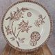 Set of 2 antique ironstone plates, "Daisy" pattern, Grand Dépôt Paris.