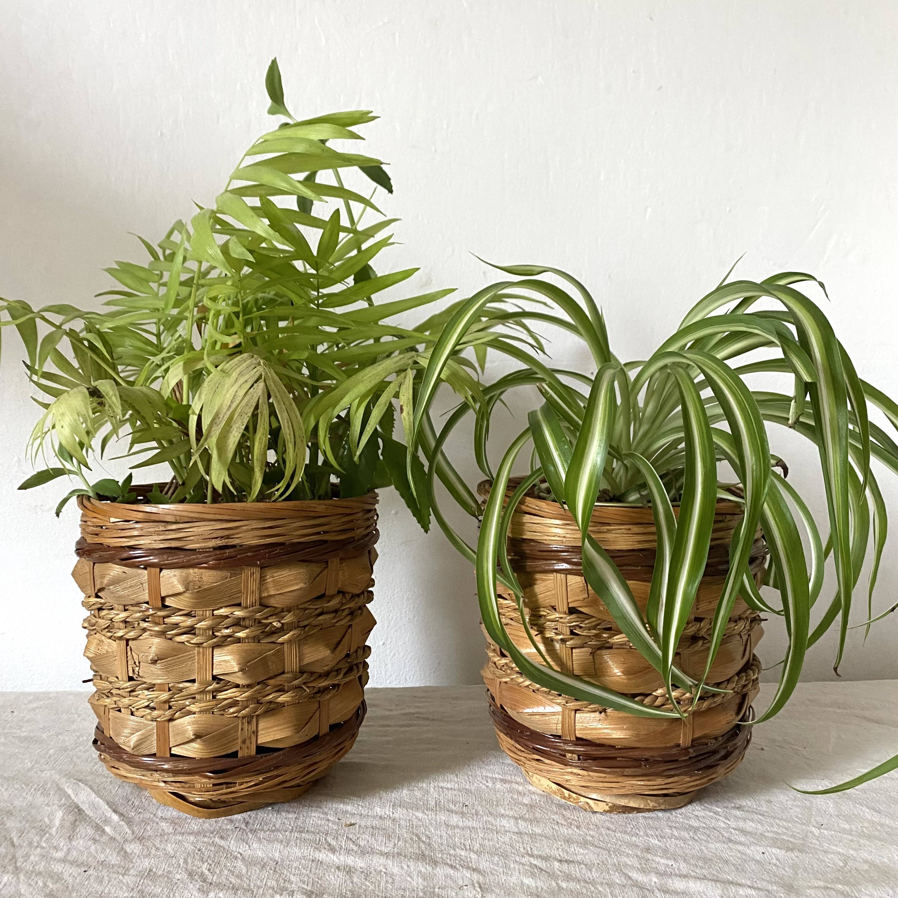 Rattan pot holders
