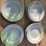 13 Richard Ginori flat and deep plates