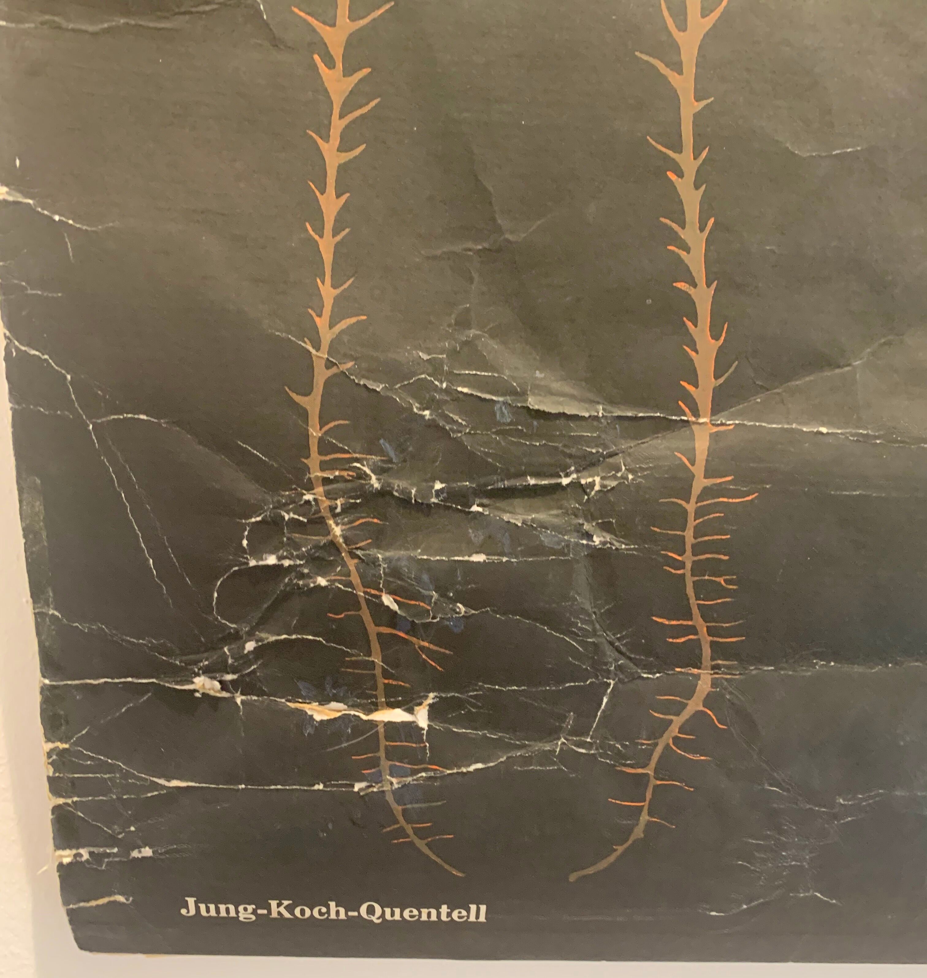 Vintage school teaching chart