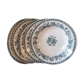 Maastricht set of 6 soup plates model Geranium green flowers on white background