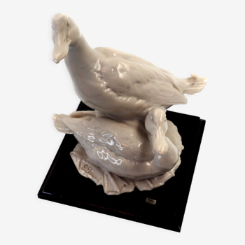 Paire de canards par Guiseppe Armani Capodimonte Florence, porcelaine blanche