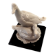Paire de canards par Guiseppe Armani Capodimonte Florence, porcelaine blanche