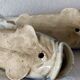 2 vases en barbotine poisson