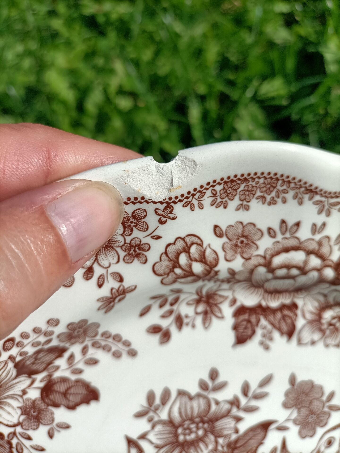 Set of stamped plates 🌻