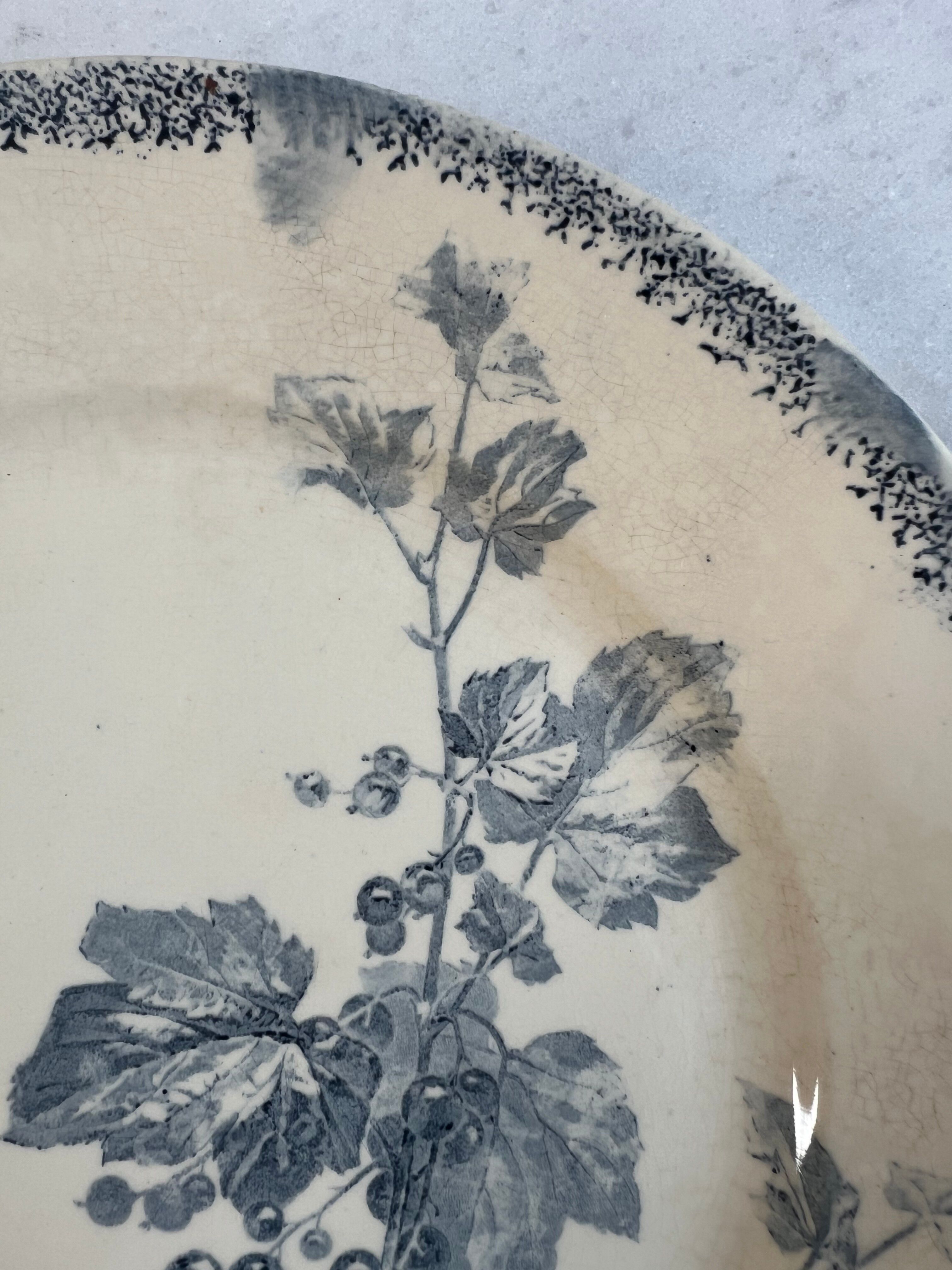 Flat plate Sarreguemines Currants