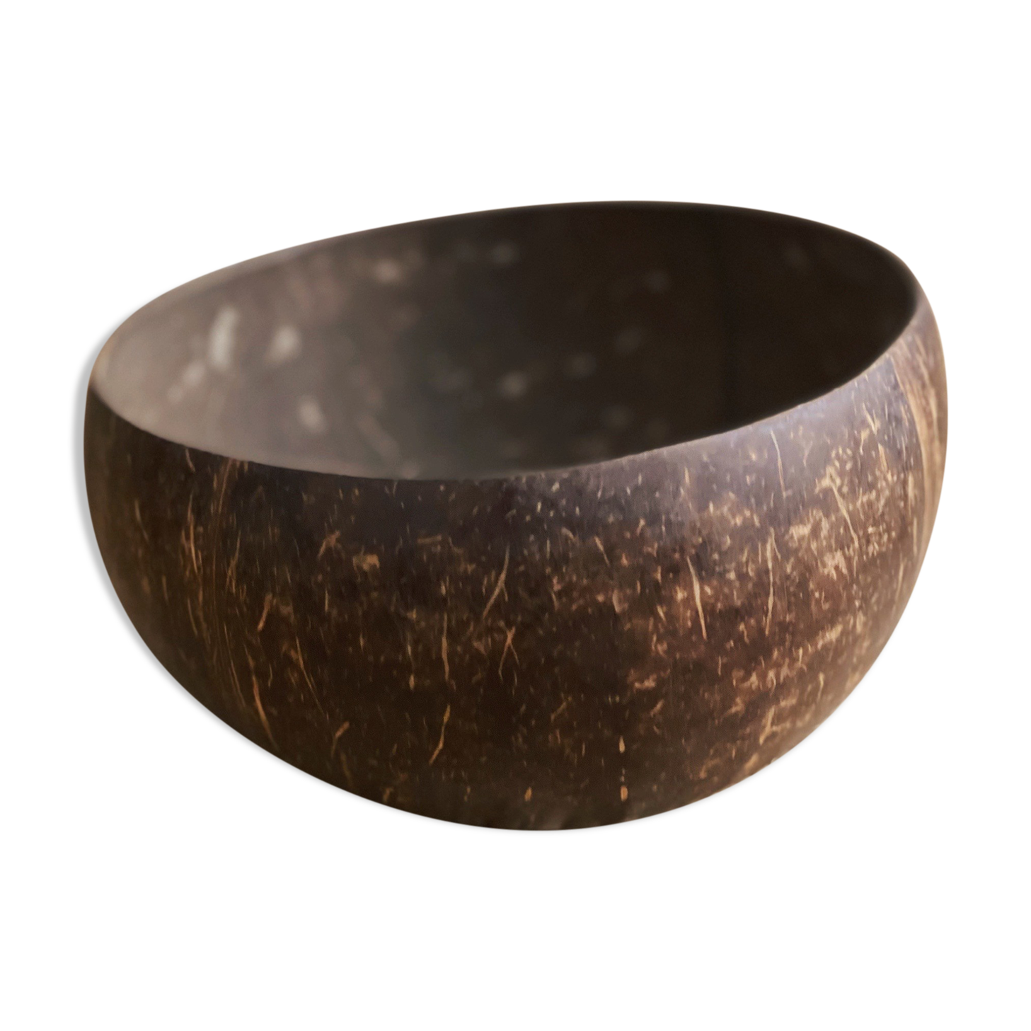 Bowl in natural coconut ecological plate