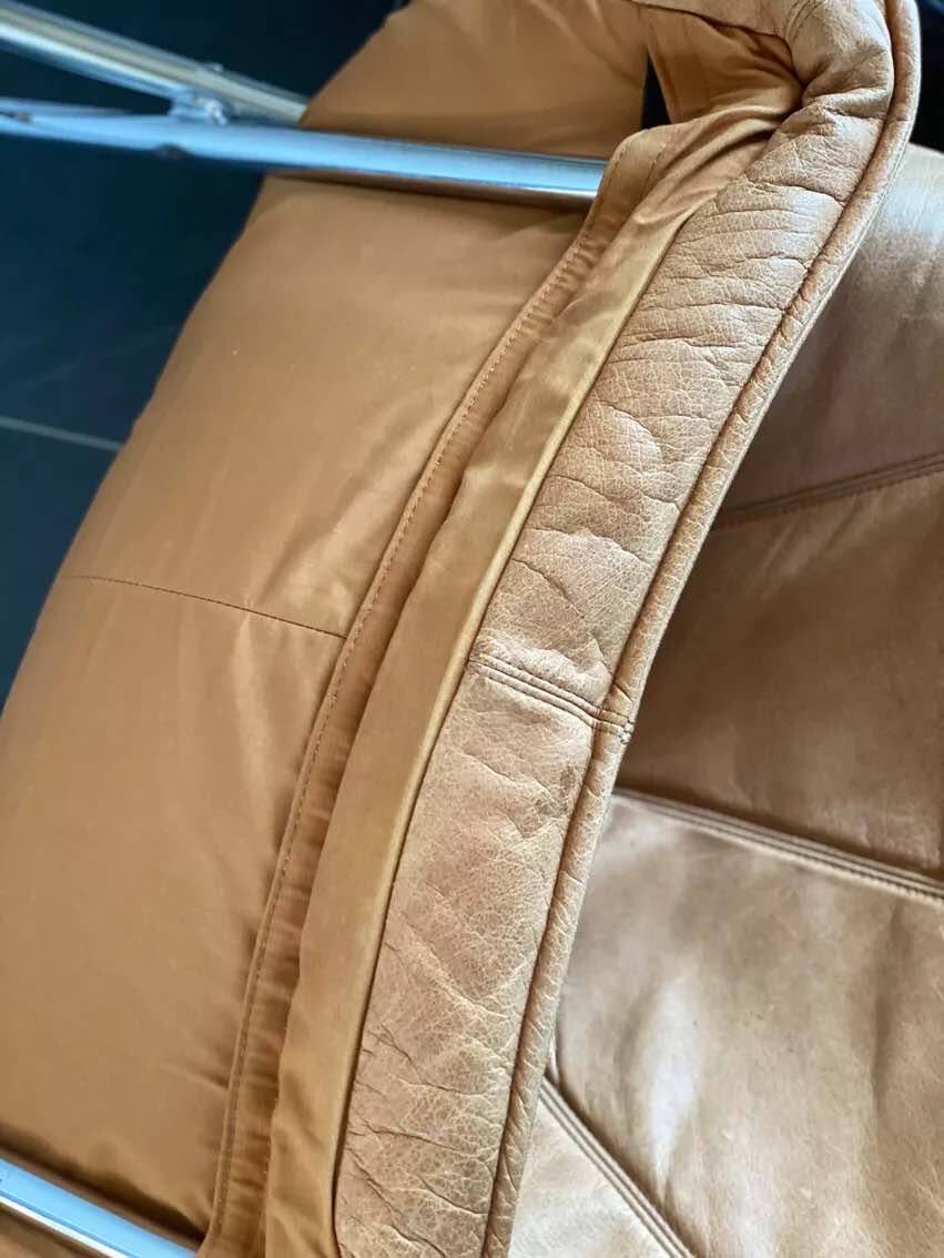 Pair of Molinari Easy Chairs by Teun van Zanten