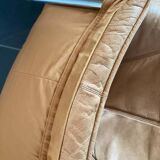 Pair of Molinari Easy Chairs by Teun van Zanten