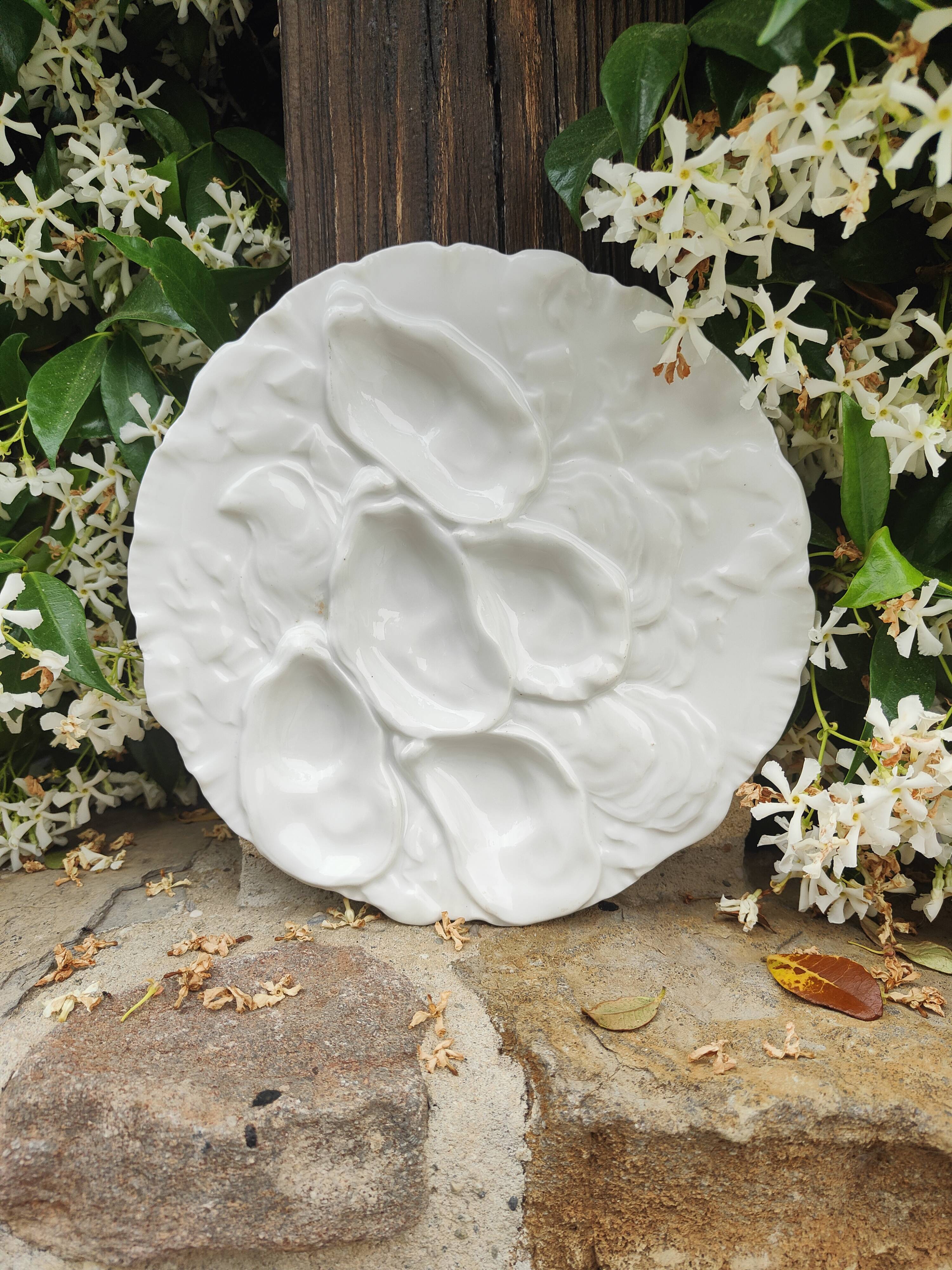 Oyster plate 19th century porcelain Haviland & Co Limoges France