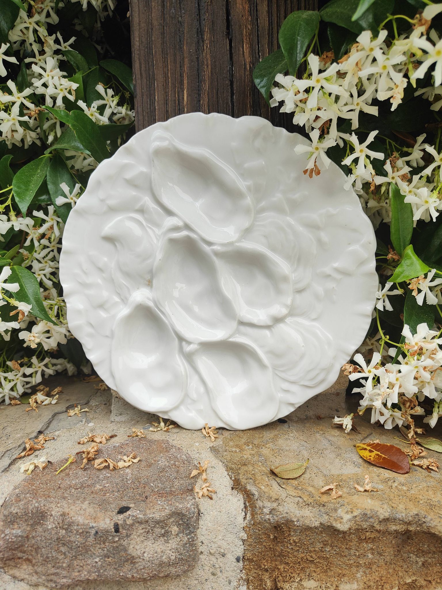 Oyster plate 19th century porcelain Haviland & Co Limoges France