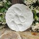 Oyster plate 19th century porcelain Haviland & Co Limoges France