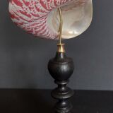 Shell tectus niloticus on base
