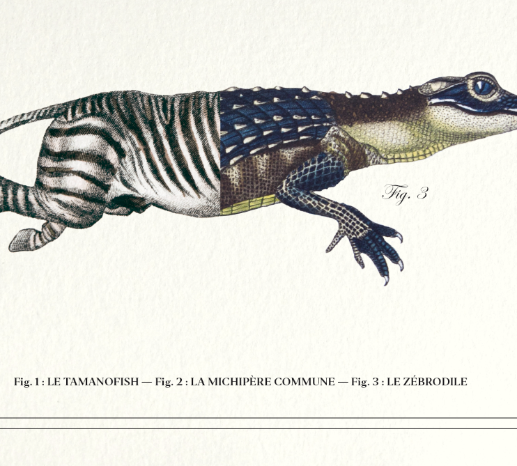 Lithography engraving vintage chimeras - 1850