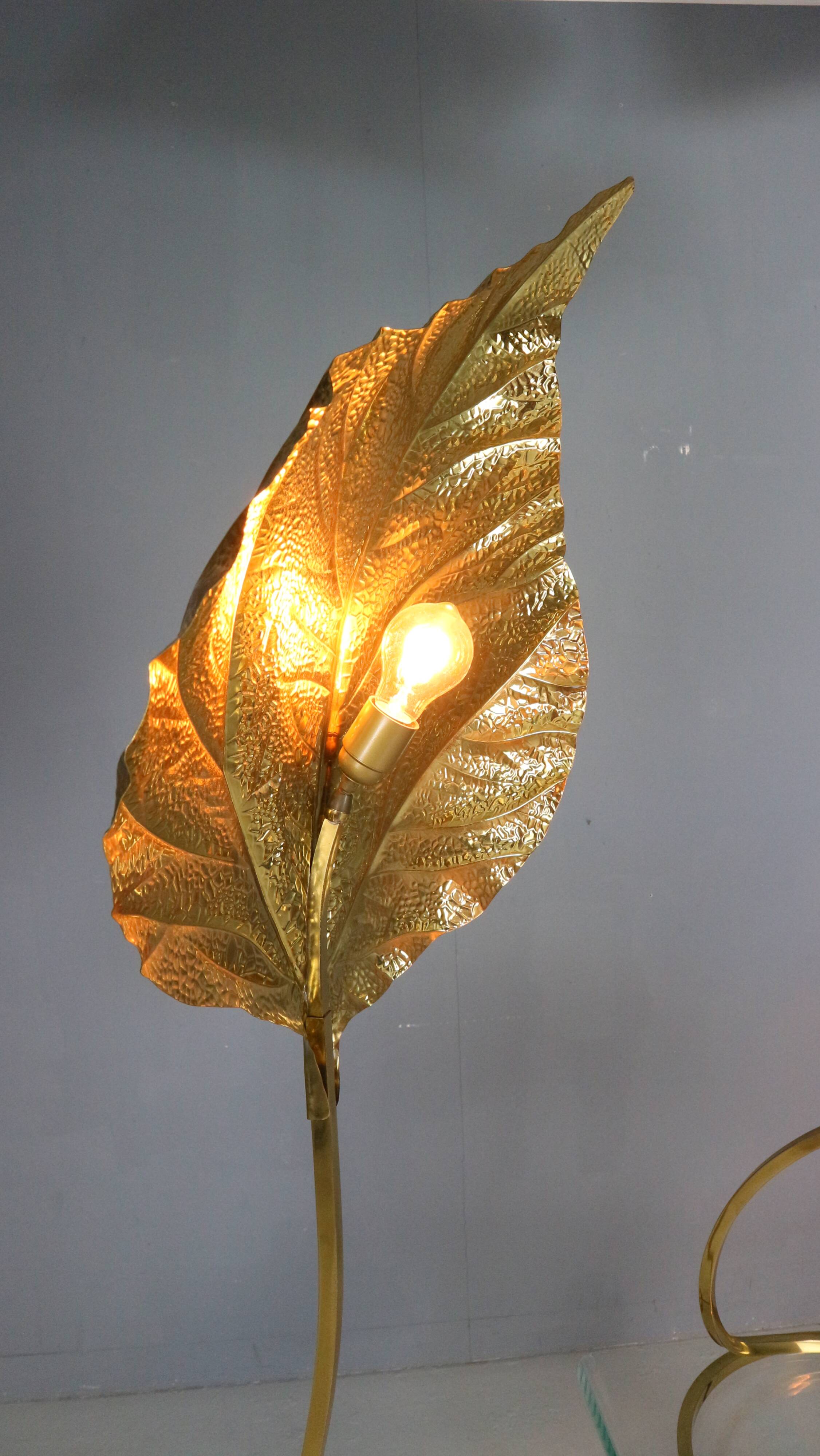 Tommaso Barbi "Rhubarb" floor and table lamp by Bottega Gadda Italy, 1970