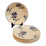 Set of 7 Moulin des Loups flat plates