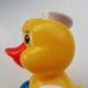Duck culbuto