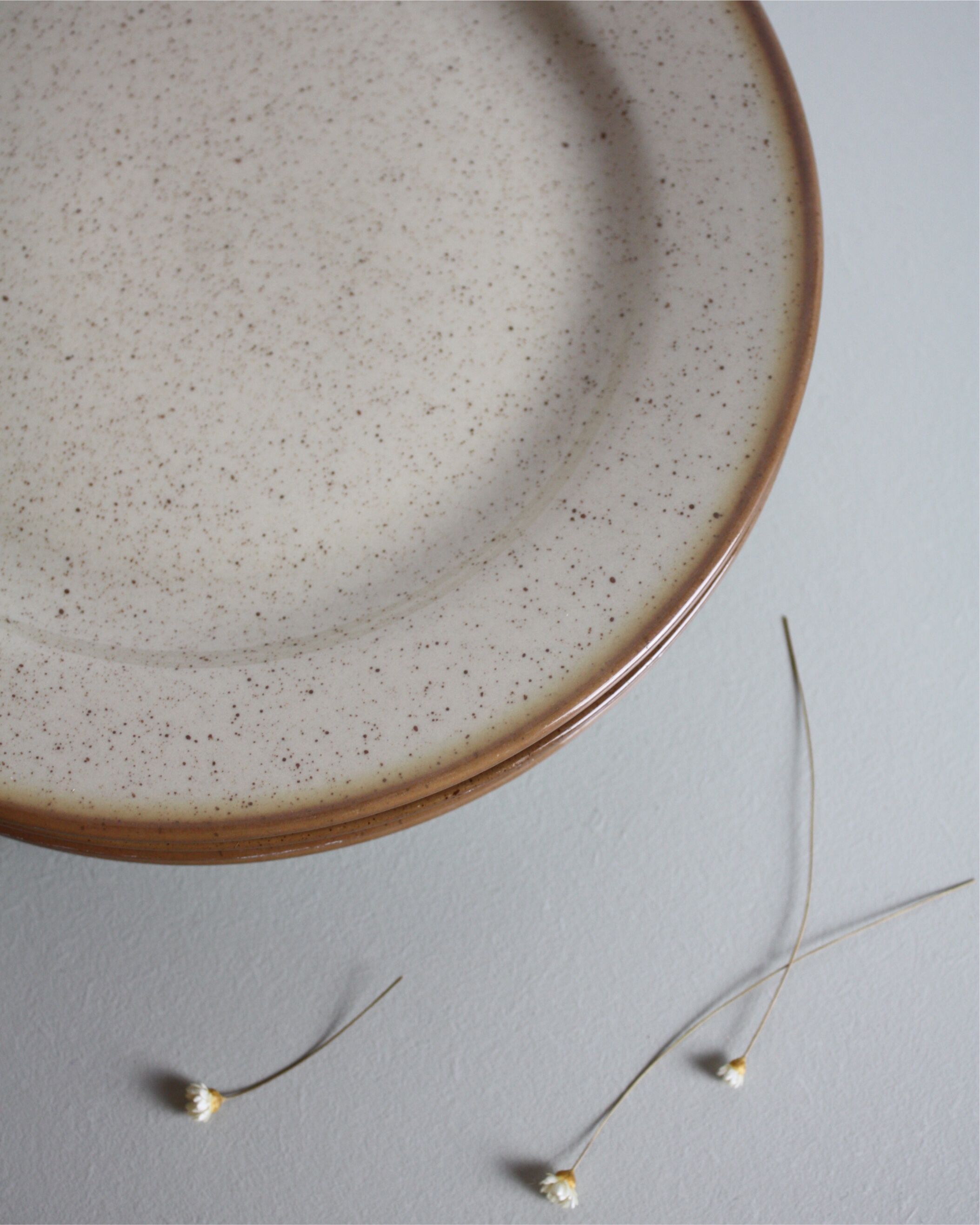 Set of 4 flat plates Tulowice in speckled stoneware
